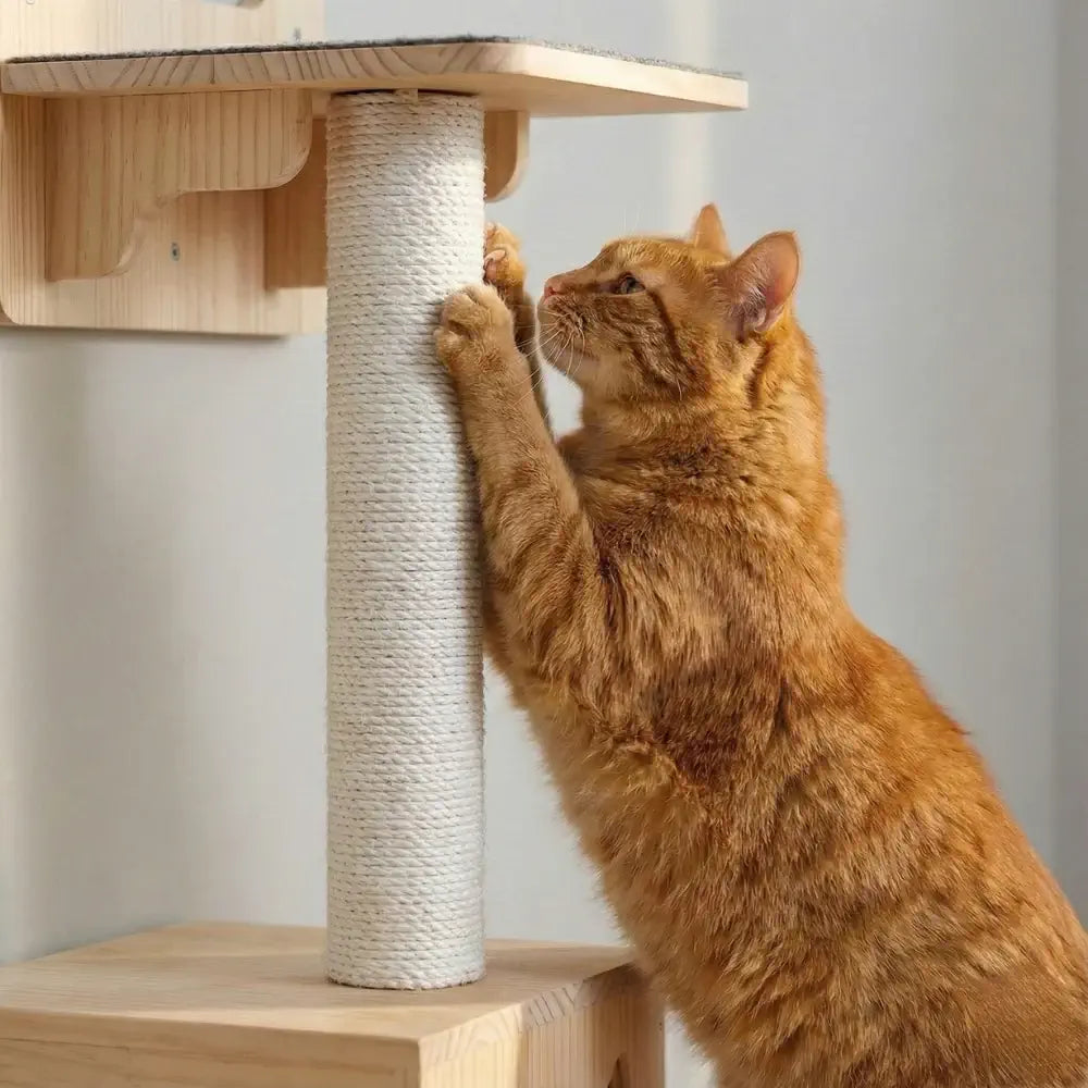 https://maisonfelins.fr/products/arbre-a-chat-en-bois-pooky-156-cm?variant=52704835666262