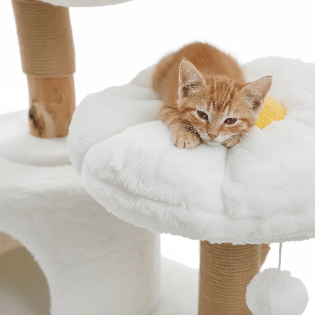 Arbre à chat durable : comment reconnaître un modèle de qualité qui tiendra dans le temps ? | Maison felins 