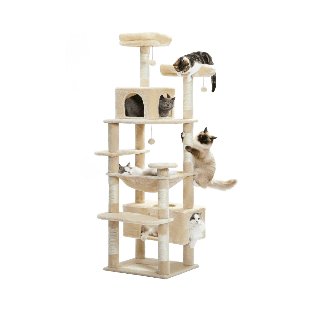 Arbre à chat XXL Capuccino - 208cm - Maison felin