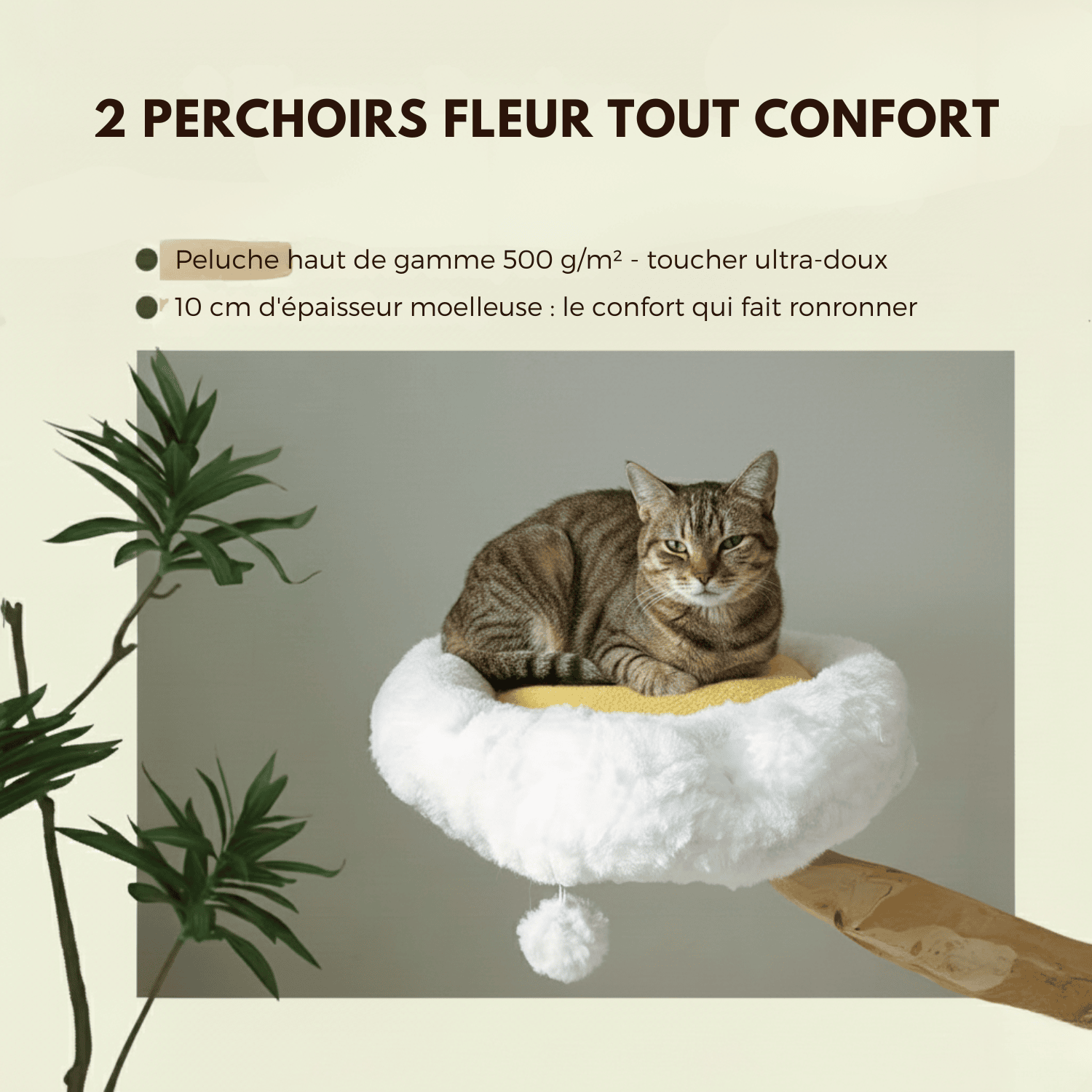 Arbre à chat en bois Gisou - 150cm - Maison felin