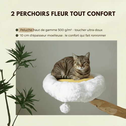 Arbre à chat en bois Gisou - 150cm - Maison felin