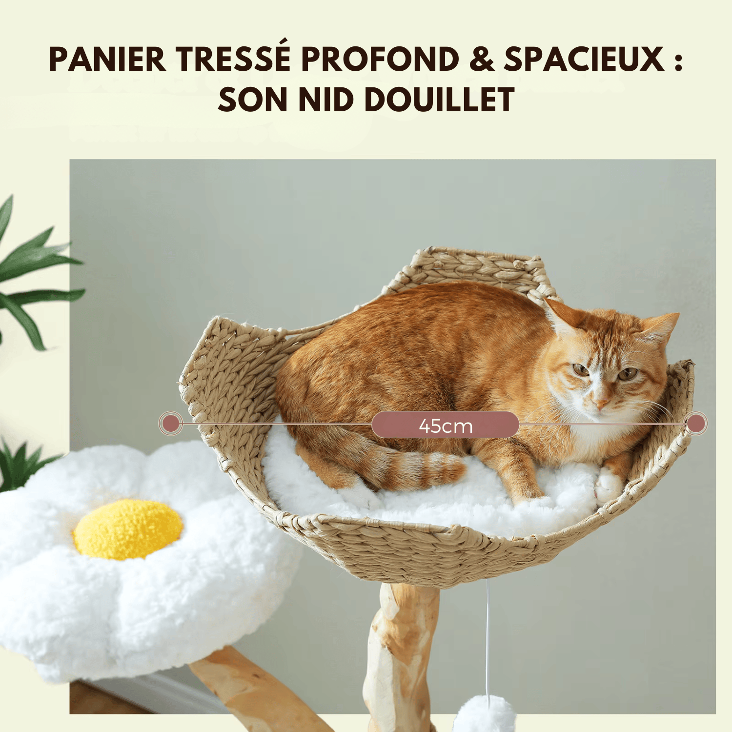 Arbre à chat en bois Gisou - 150cm - Maison felin