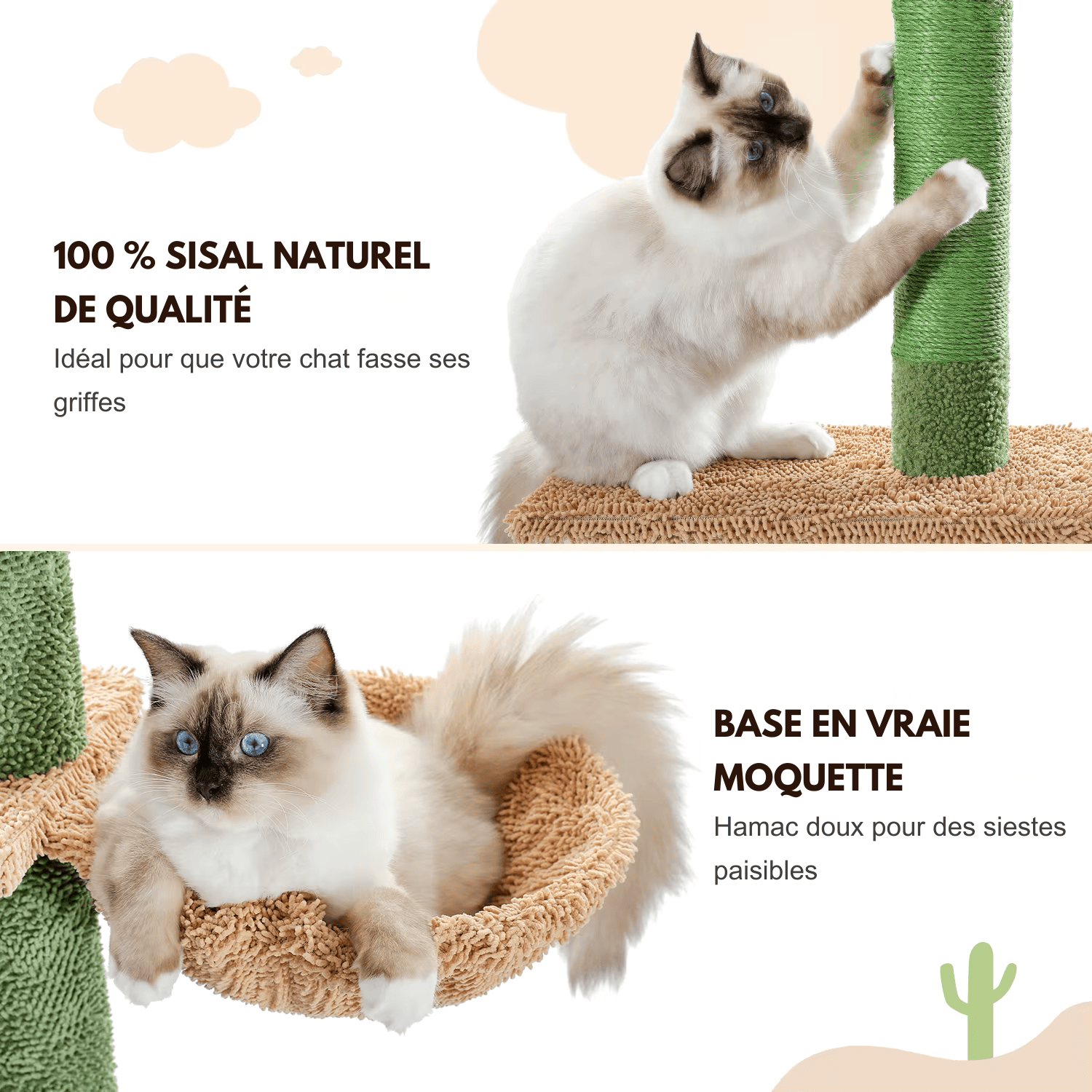 Arbre à chat XXL Luna - 229cm - Maison felin
