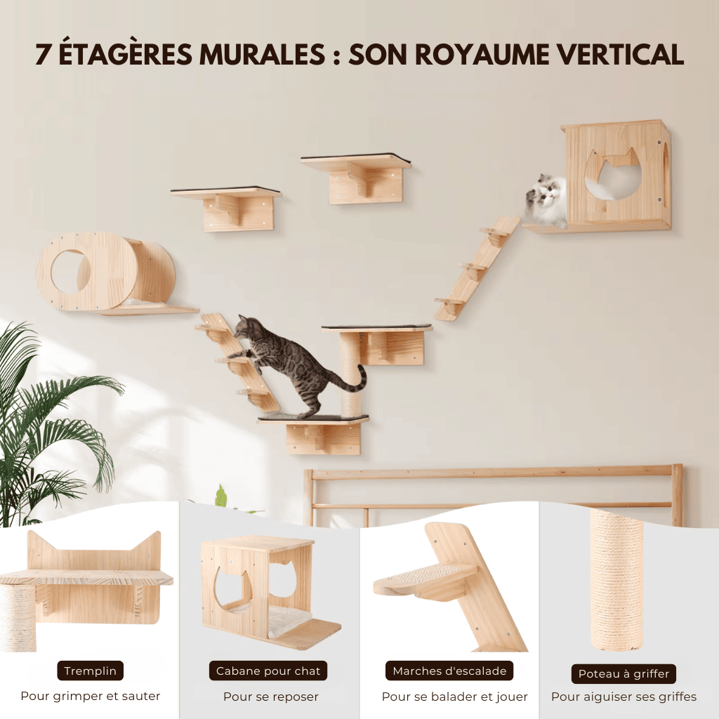 Arbre à chat murale en bois - Perle - Maison felin
