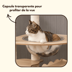 Arbre à chat en bois XXL Yumi - 170cm - Maison felin