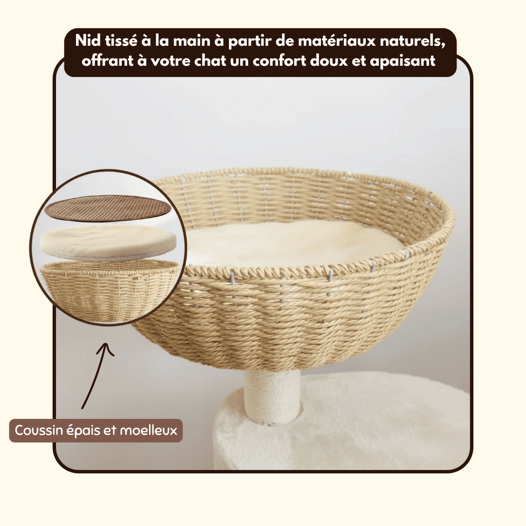 Arbre à chat en bois Pooky - 156 cm - Maison felin