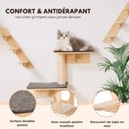 Arbre à chat murale en bois - Perle - Maison felin