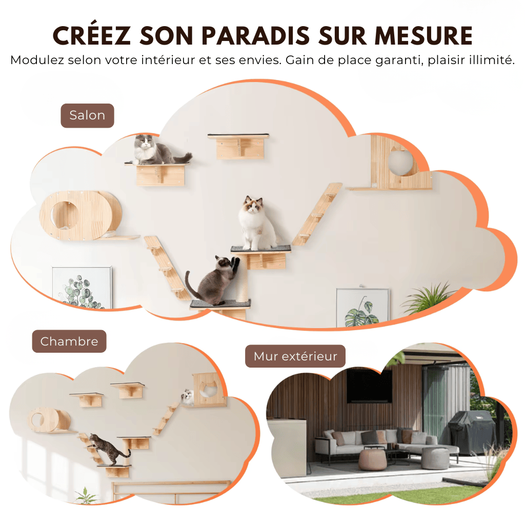 Arbre à chat murale en bois - Perle - Maison felin