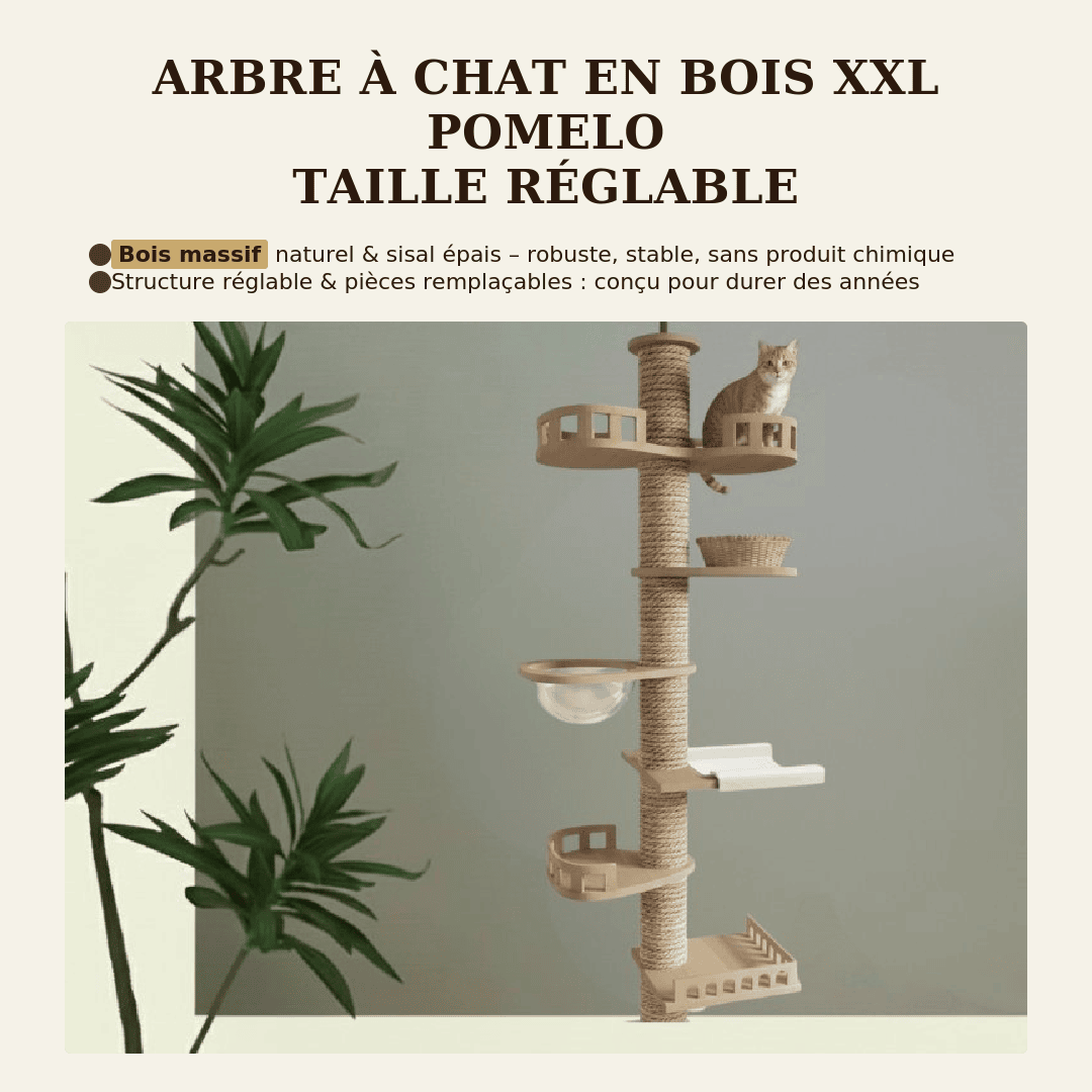 Arbre à chat en bois XXL Pomelo - Réglable jusqu'à 270cm