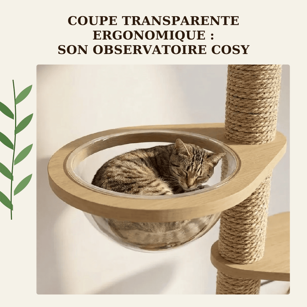 Arbre à chat en bois XXL Pomelo - Réglable jusqu'à 270cm